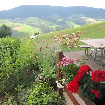 Hubhof Feriehus Oberharmersbach