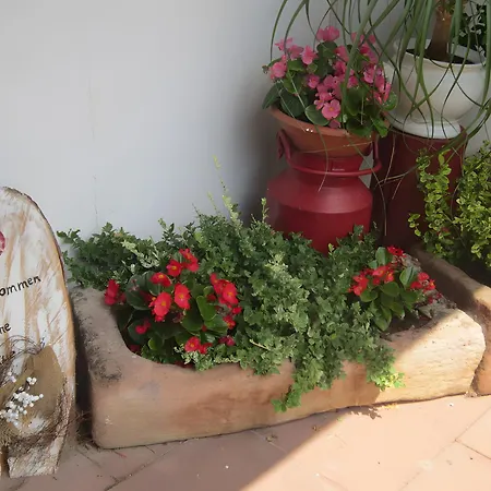 Hubhof Feriehus Oberharmersbach