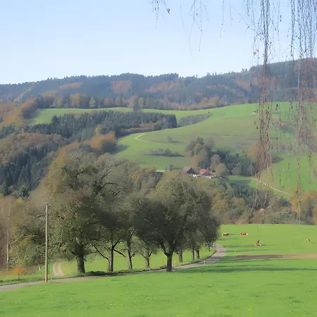 Hubhof Feriehus Oberharmersbach