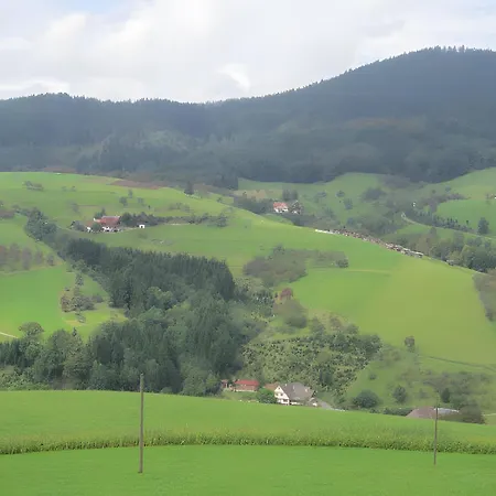 Hubhof Feriehus Oberharmersbach