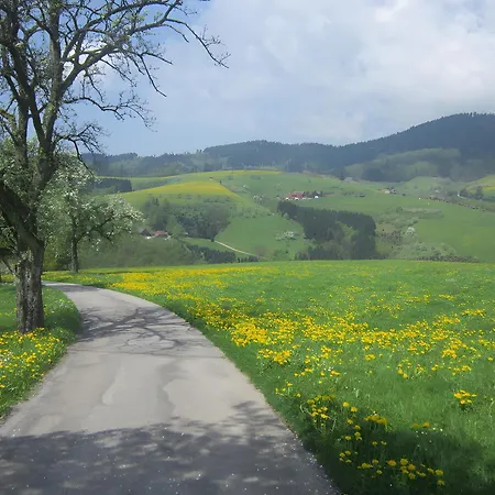 Hubhof Semesterbostad Oberharmersbach