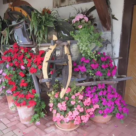 Holiday home Hubhof Oberharmersbach