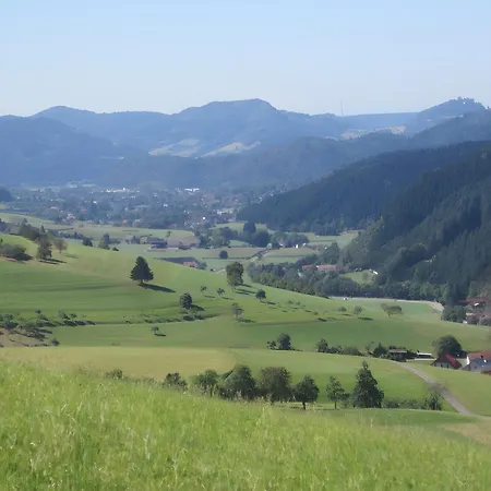 Hubhof Oberharmersbach