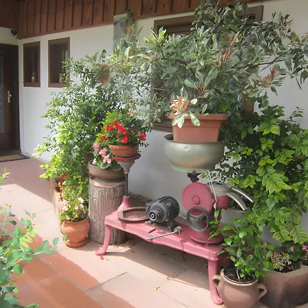 Casa vacanze Hubhof Oberharmersbach